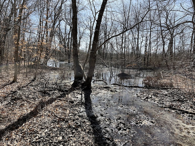 Arshamomaque Preserve