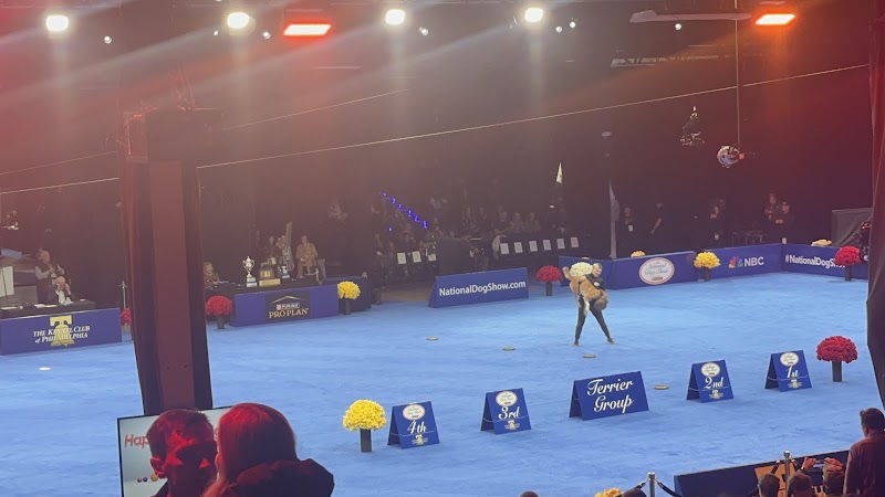 The National Dog Show