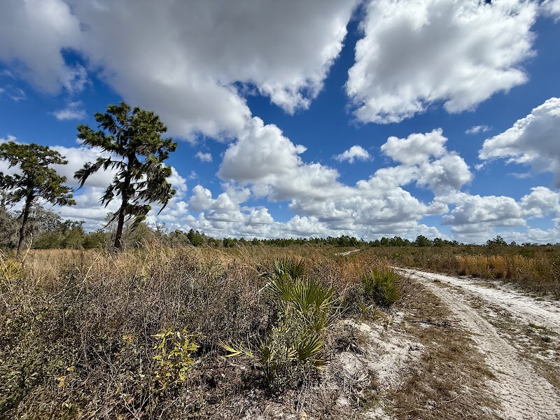 Little Manatee River, Southfork Tract