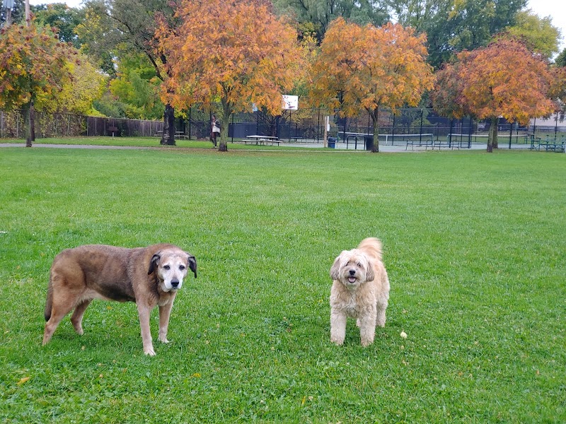 Farmington Park