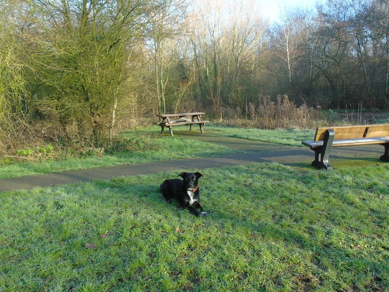 Rivacre Country Park