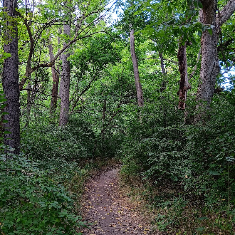 Dollar Hide Creek Park
