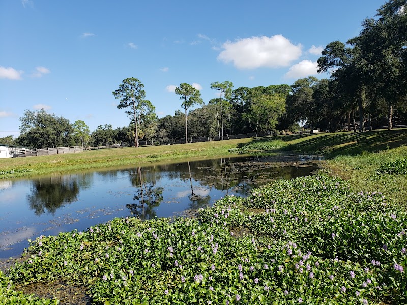 Loyd Tingler Park