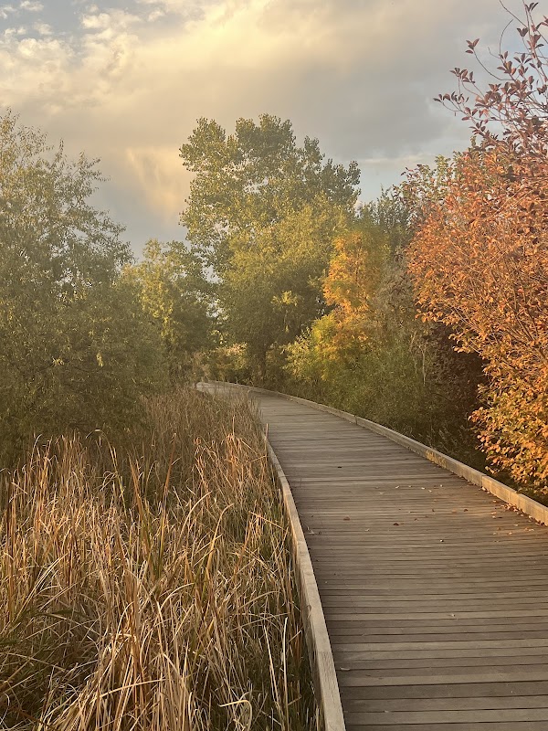 Hutchinson Park