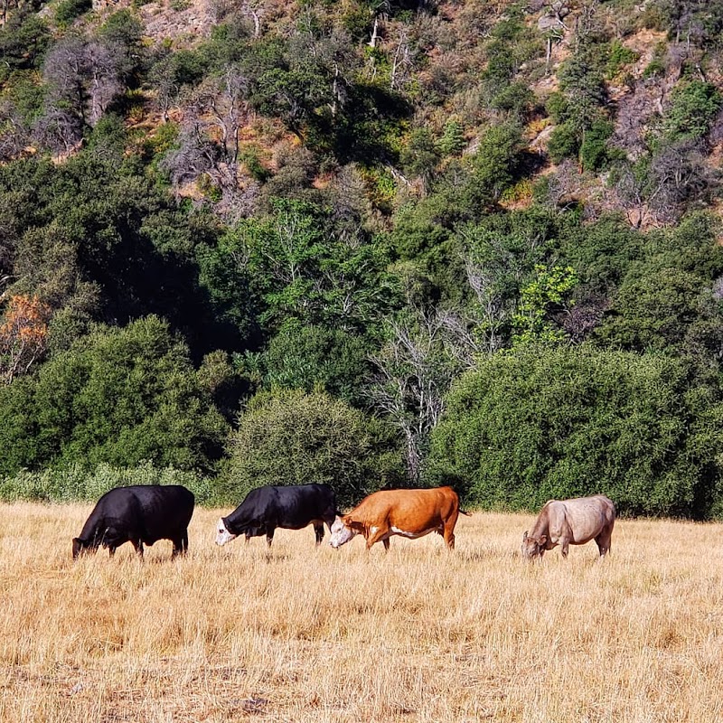 Santa Ysabel Open Space Preserve East