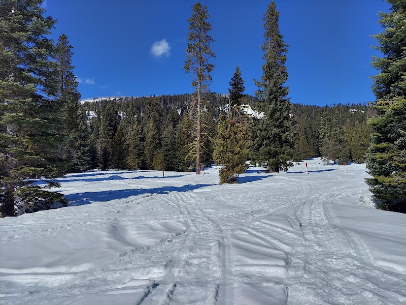 Conrad Meadows Trailhead