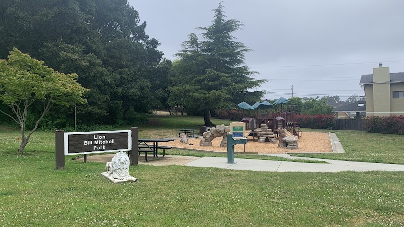 Lion Bill Mitchell Park