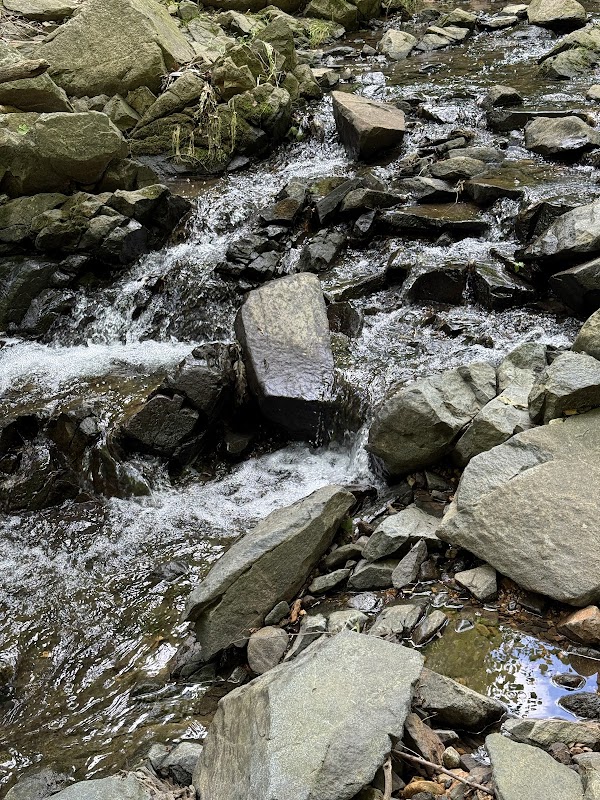SoapstoneTrail