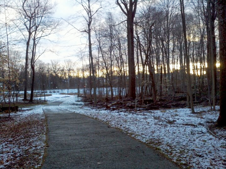Tilden Woods Stream Valley Park