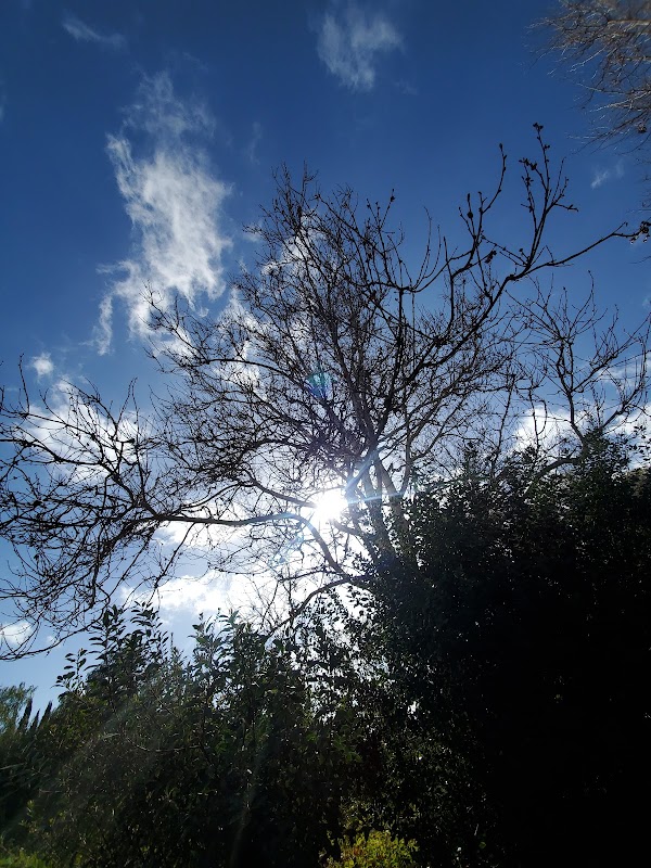 Northfront Park Path