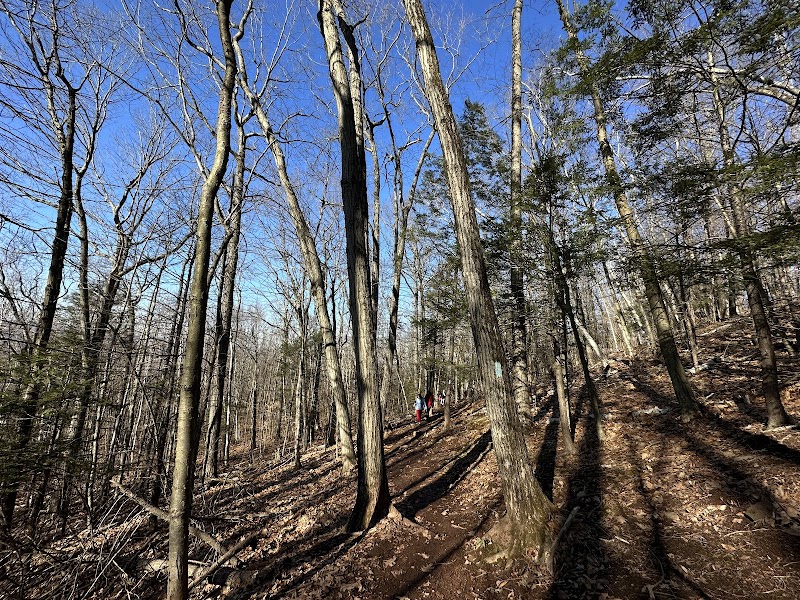Metacomet Trail - New England National Scenic Trail