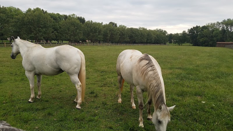 Jeanne Rosset French Memorial Park