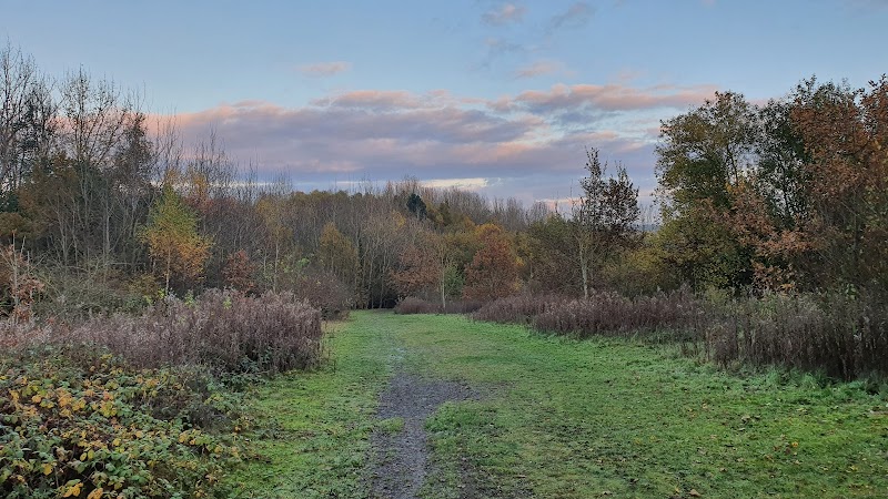 L.I.V.I.A. Silverdale