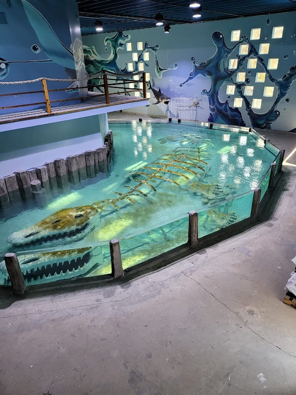 Houston Interactive Aquarium & Animal Preserve