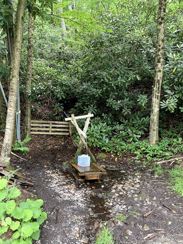 Fountain of Youth Spring