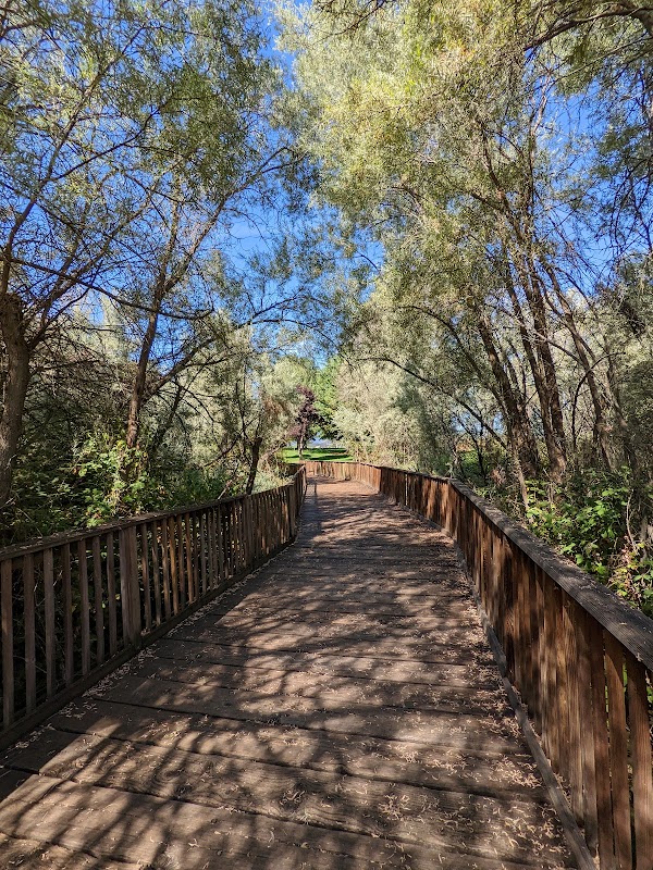 Donahue Frohnmayer Park