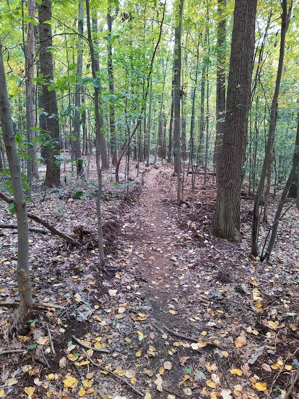 Dickerson Mine Preserve