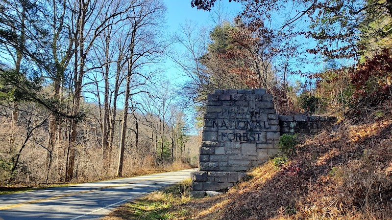Forest Heritage Byway (Davidson R)