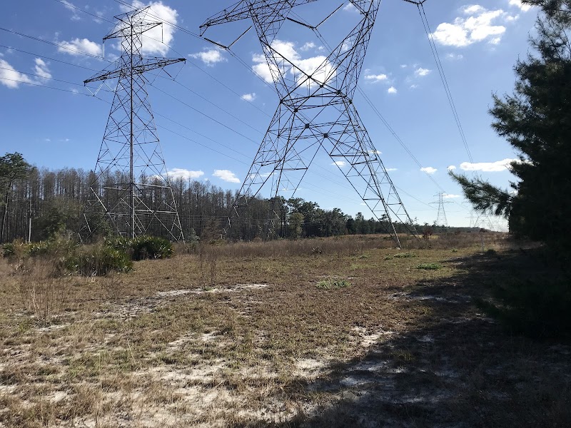 MTB Trail Marker 37