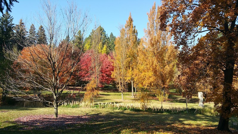 John A. Finch Arboretum