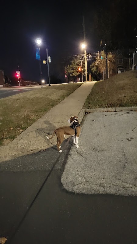 Holy Family University