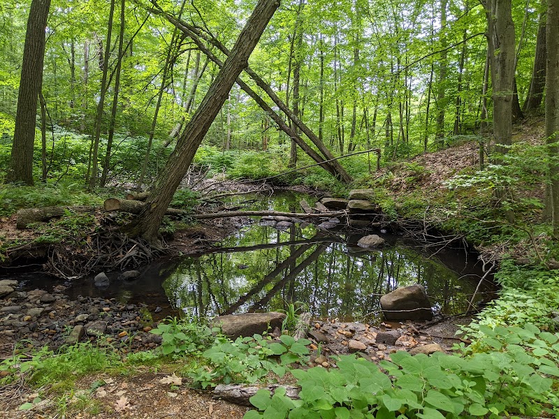 Kettle Brook Conservation Area GWLT