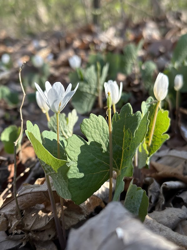 Heartland Overlook Preserve