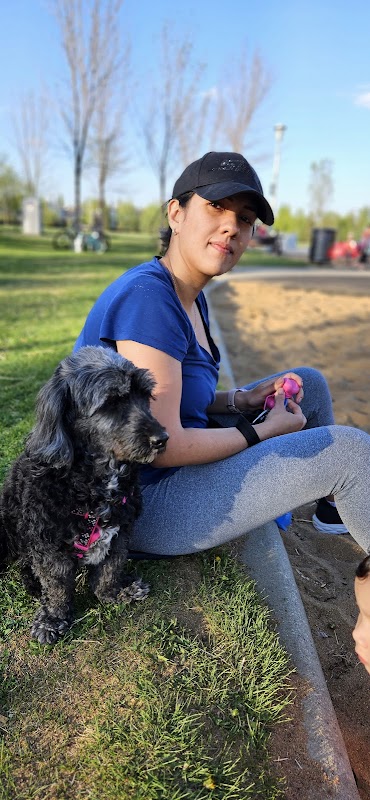 Glastonbury Spray Park