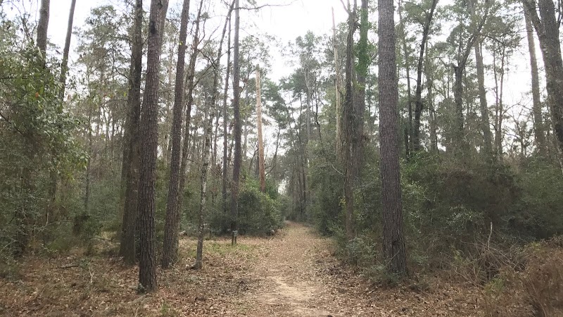 Lake Houston Wilderness Park