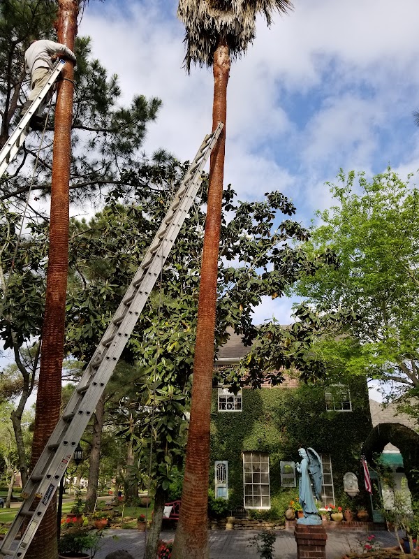 Windsor Park Estates Fountain Park