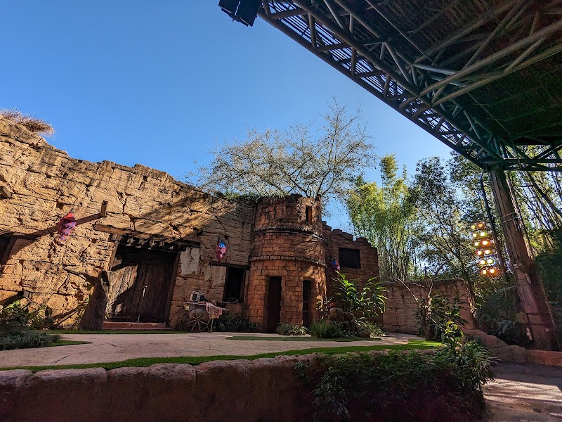 Feathered Friends in Flight!
