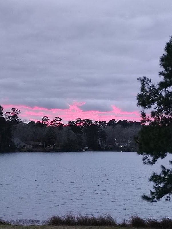 Royal Forest Community Park