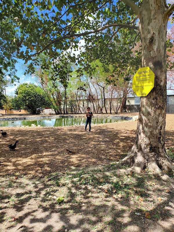 Eden Duck pond - Public park