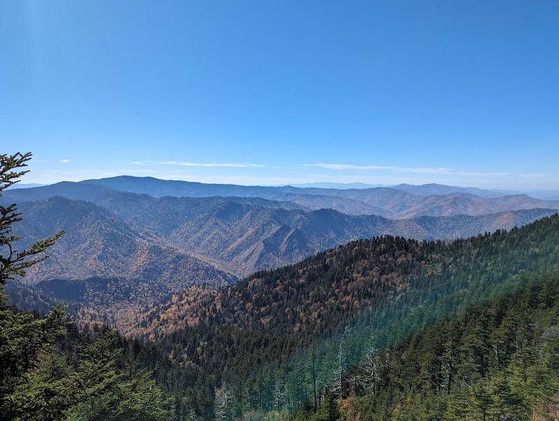 Cliff Tops Viewpoint