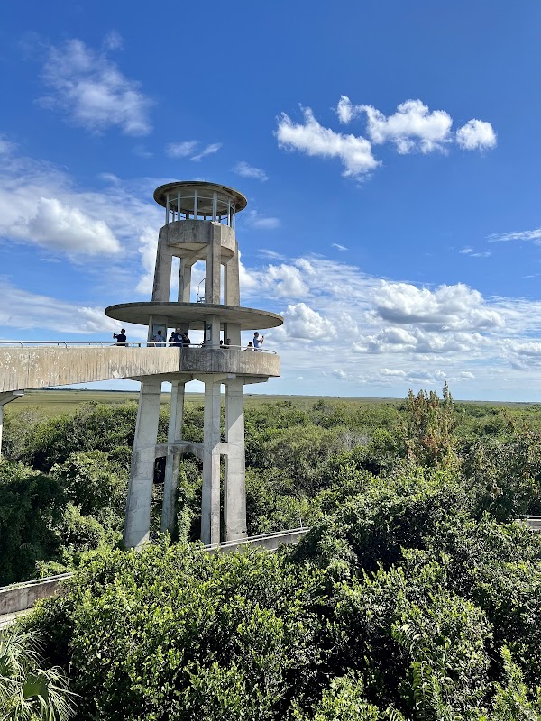 Shark Valley Observation Tower