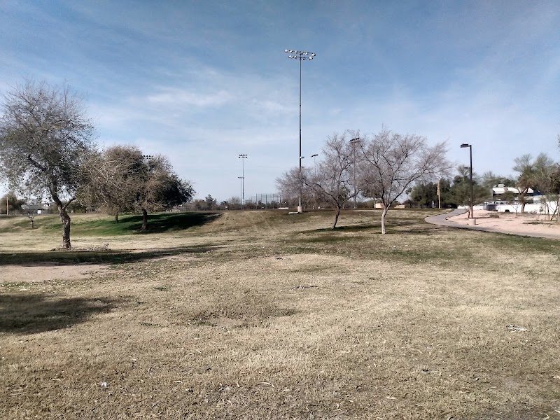 Cave Creek Park - Cholla