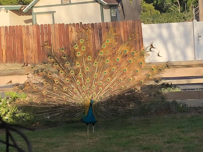 Stonehurst Equestrian Trail