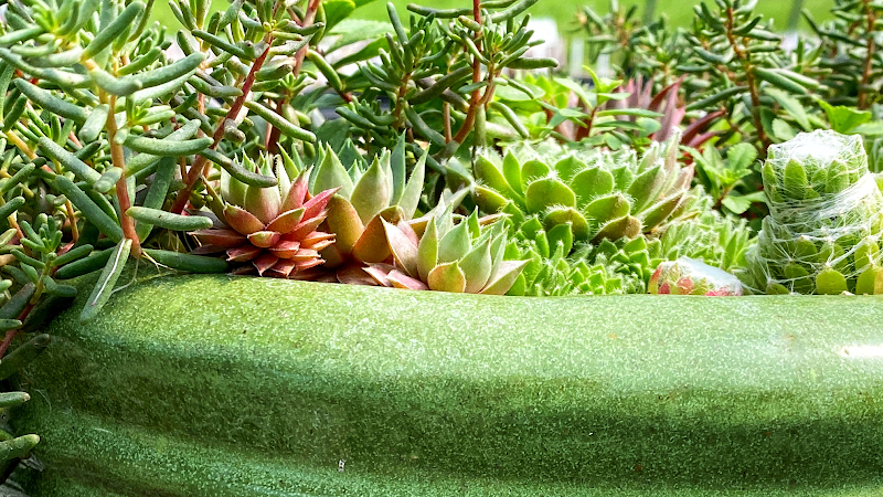 Hidden Hill Farm Greenhouse & Campground