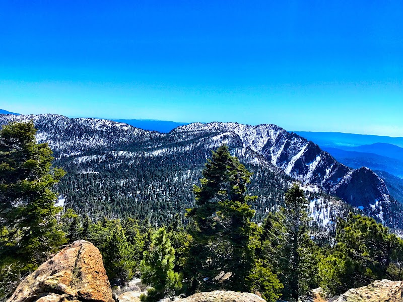 Mount San Jacinto State Park