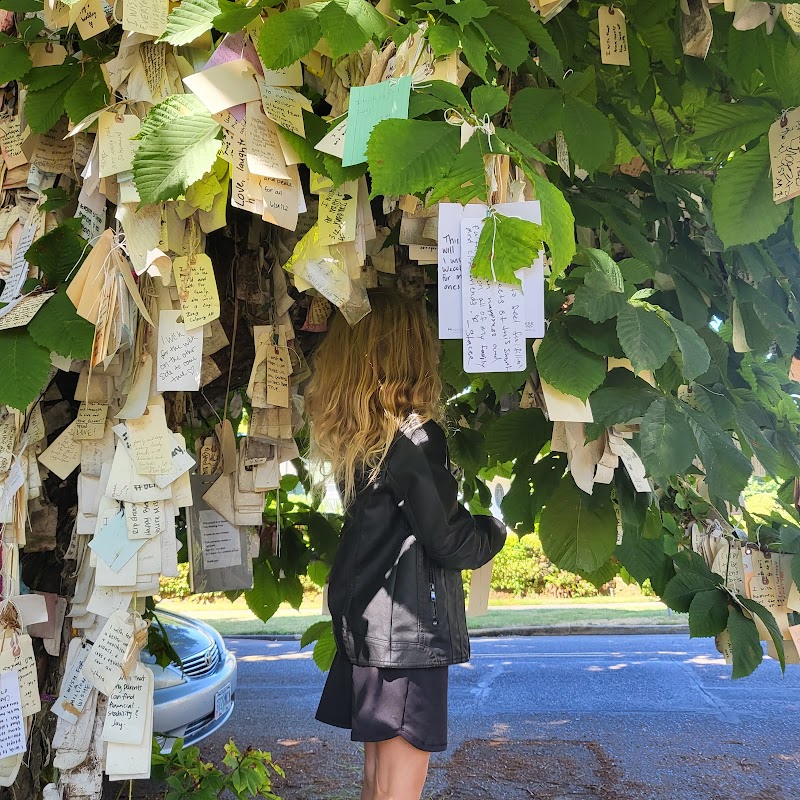 The Wishing Tree