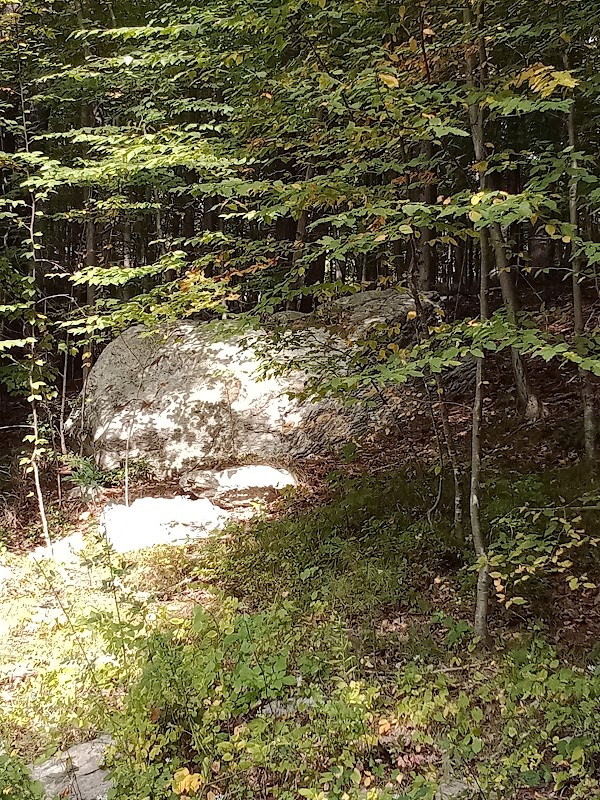 Westville Lake Community Path