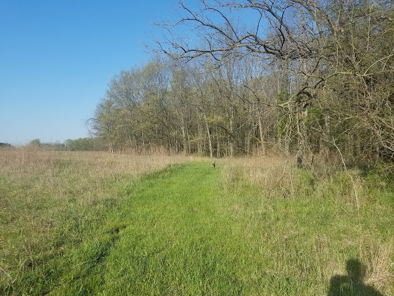 Bartel Grassland and Water Reserve