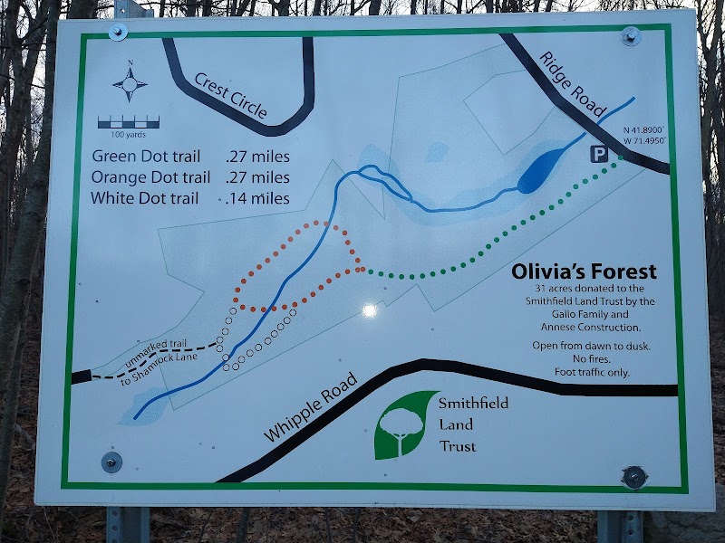 Olivia's Forest