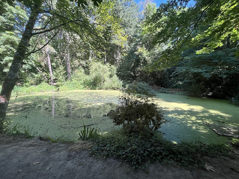 Faris Lake