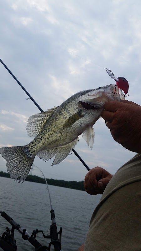 Long Hunter Chase Common Area