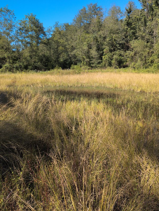 Linfield County Preserve
