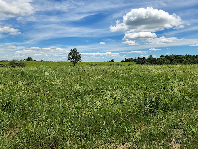 Happy Landings Protected Open Space