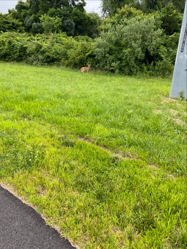 North Shore Rail Trail