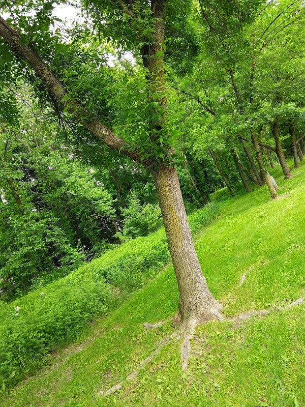 Spring Valley Park