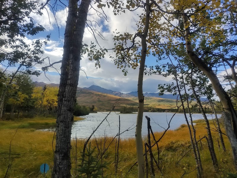 Denali Discovery Center